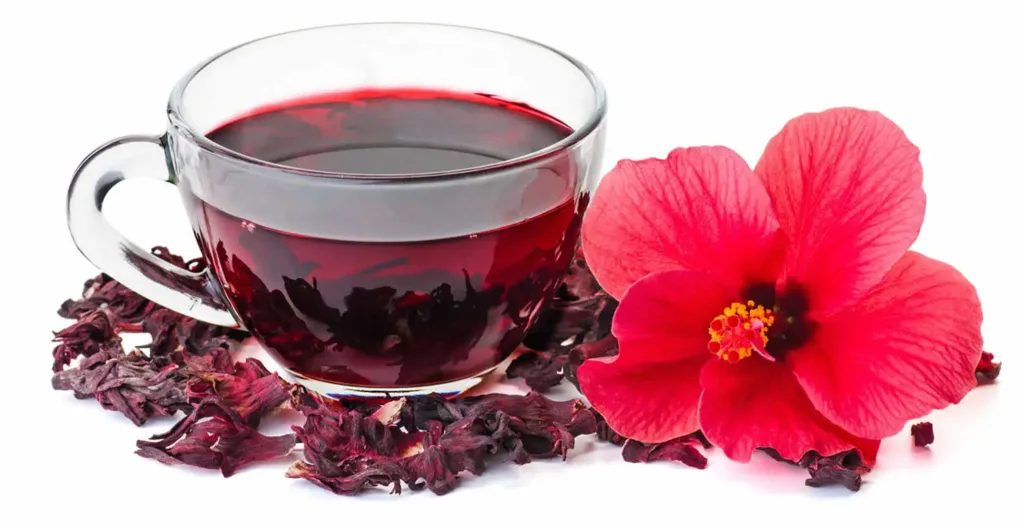 chá de hibisco