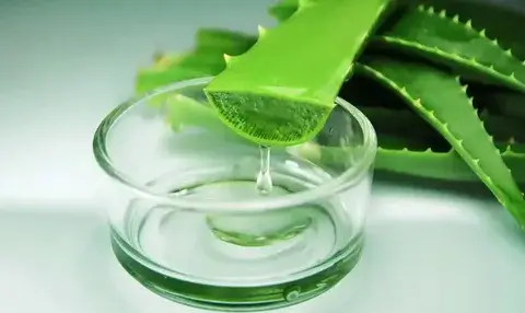 aloe vera